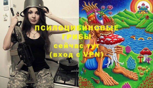 гашиш Белокуриха