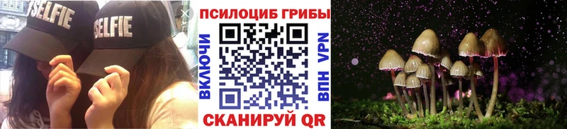 Псилоцибиновые грибы Psilocybe  OMG ССЫЛКА  Волосово 