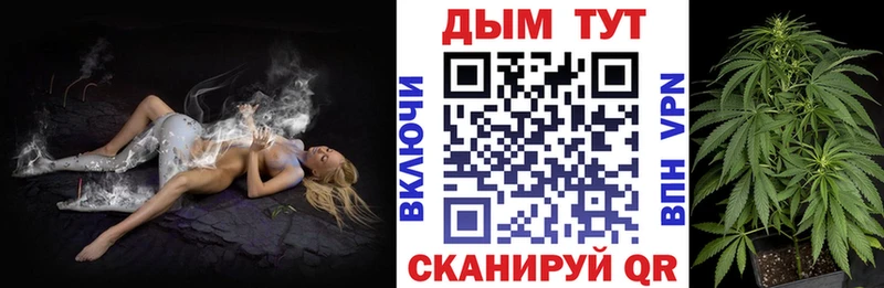 купить наркотик  ОМГ ОМГ вход  Канабис Ganja  Волосово 